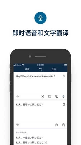 Deepl手机版图2