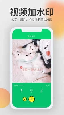 视频一键去水印