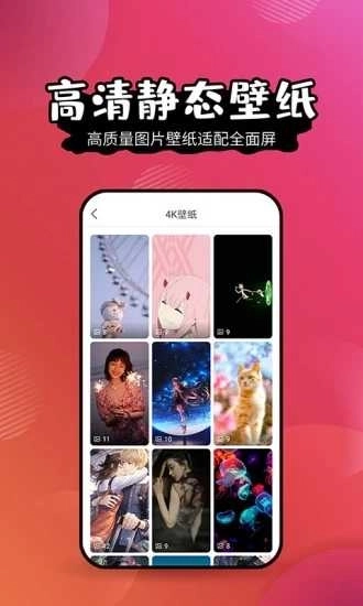 壁纸精灵免费版图1