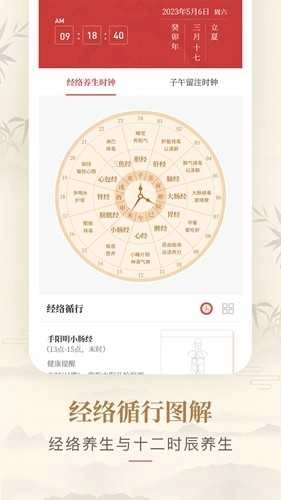 人体穴位图解可离线版图3