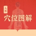 人体穴位图解纯净版