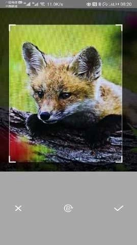 万能拍照识别纯净版