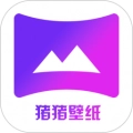 猪猪壁纸