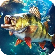 欢乐钓鱼大师2026