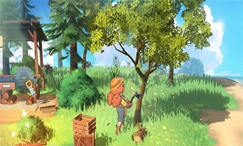 舒适的小岛最新版(2)