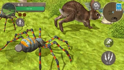 地球物种进化(1)