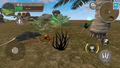 地球物种进化(4)