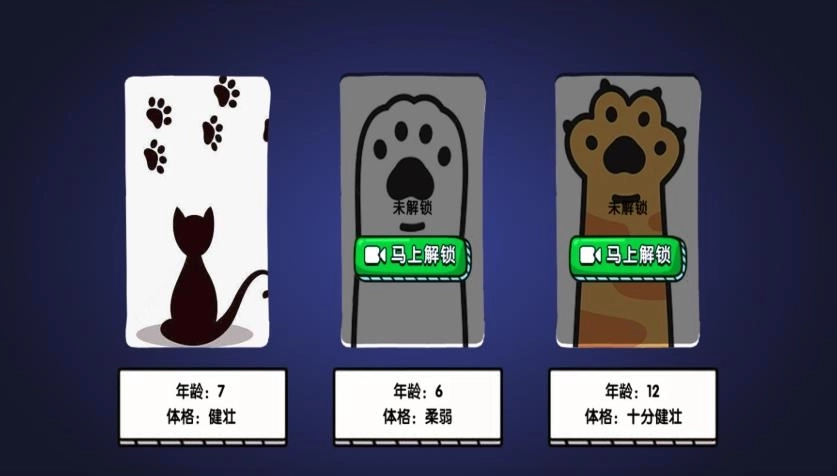 是一只猫咪呀(1)