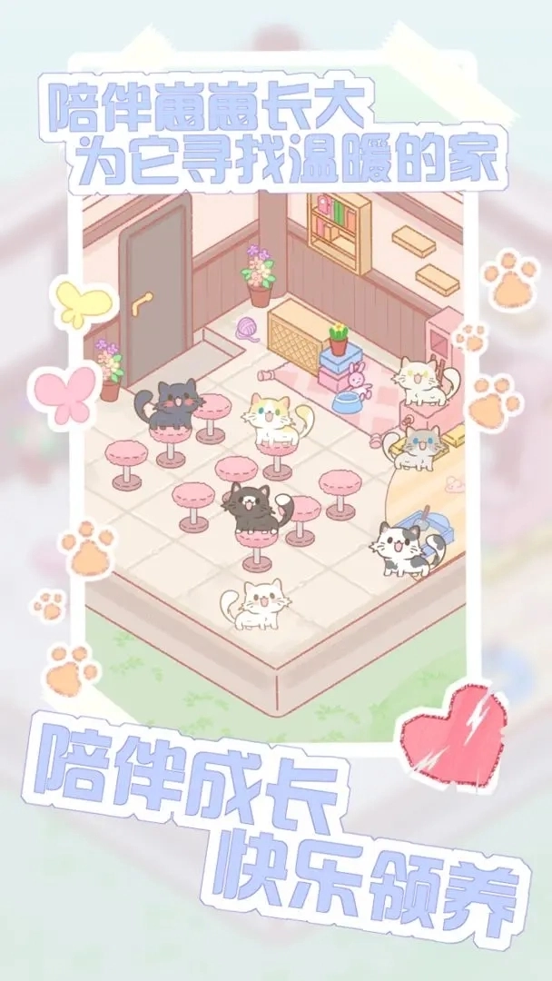 猫咪农场(3)