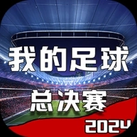 我的足球总决赛游戏