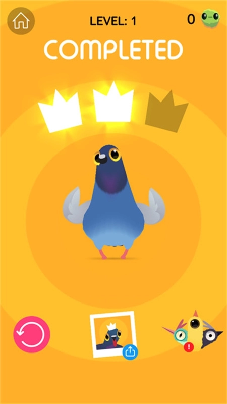 疯狂的鸽子世界(3)