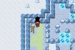 口袋妖怪最后的火红手机版(3)