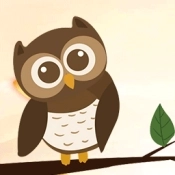 小鸟猜谜 v1.2.21