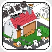猫咪家园