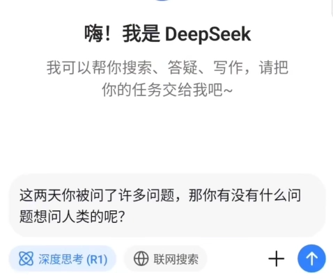 deepseeker2