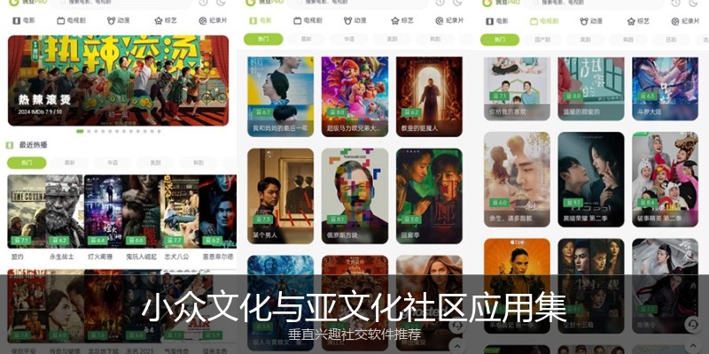 小众文化与亚文化社区应用集