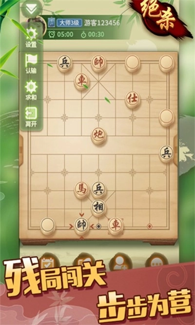 象棋大师(1)