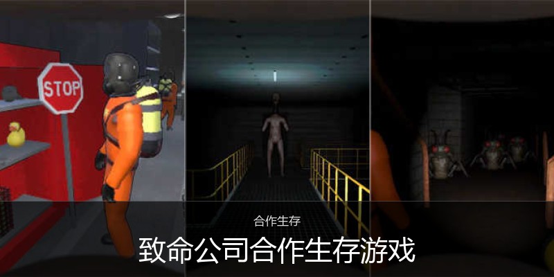 致命公司合作生存游戏