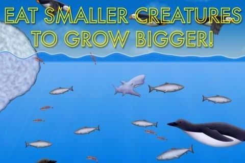 美味海洋2安卓版图2