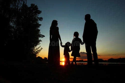 自由家庭手机汉化版(2)