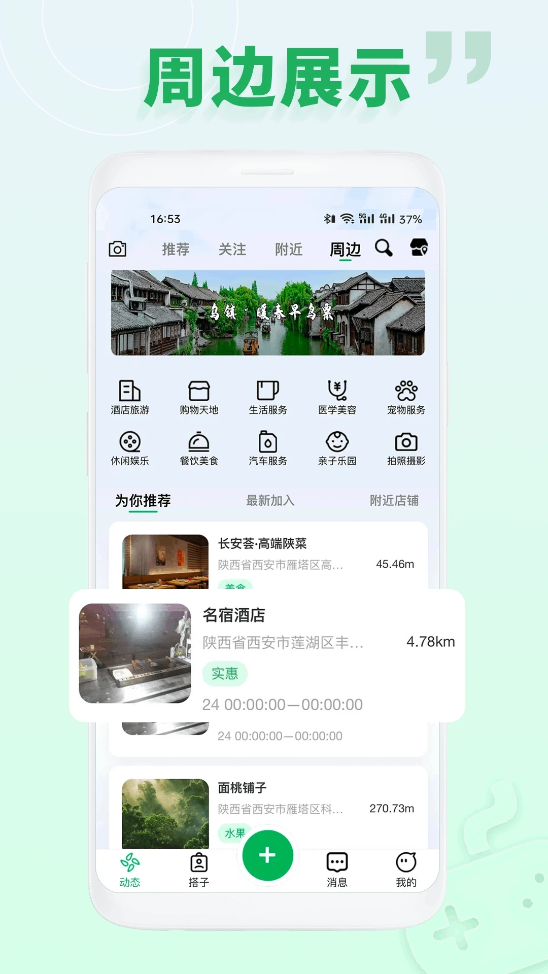 面芽图2