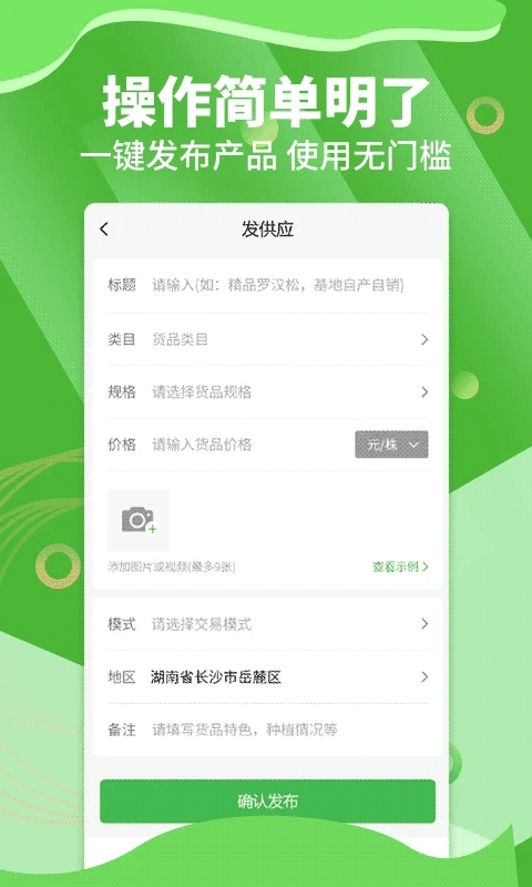 湖南苗木图4