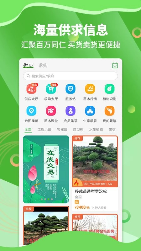 湖南苗木图1