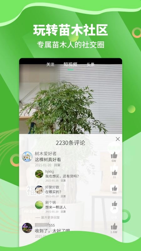 湖南苗木图2