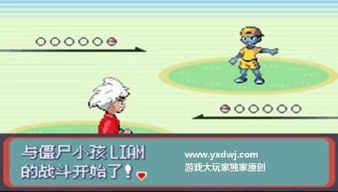 口袋妖怪蛇纹木手机版(3)