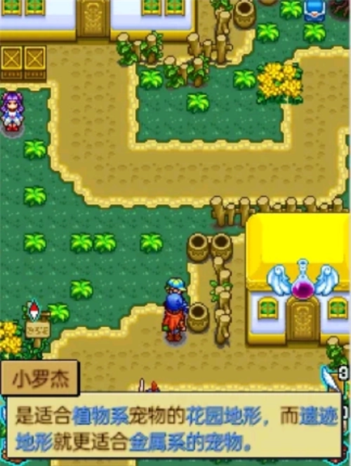 宠物王国4白金(2)