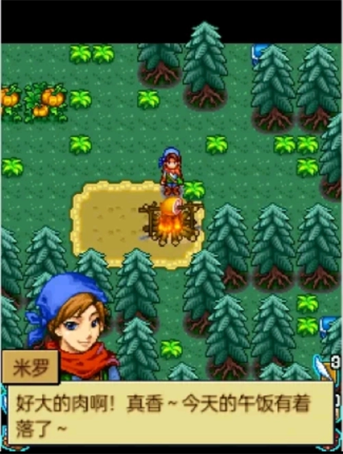 宠物王国4白金(3)