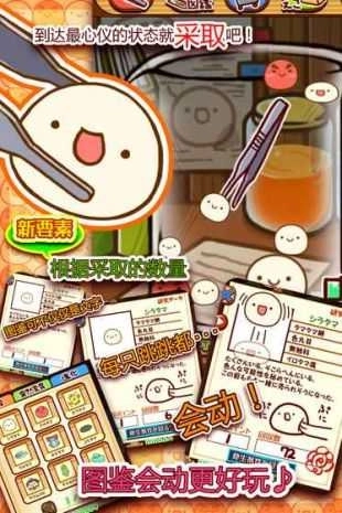 新种发现跳跳研究所完整版