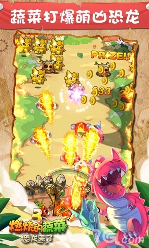 燃烧的蔬菜3HD图2