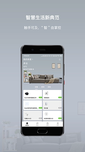智小金