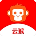 云猴