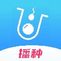 试管婴儿播种网