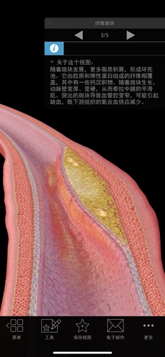 生理和病理学手机版