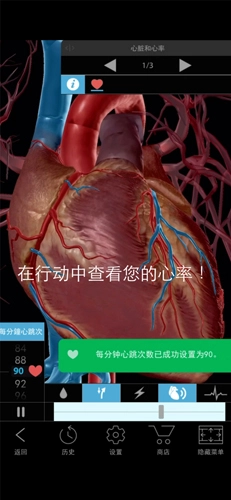生理和病理学手机版
