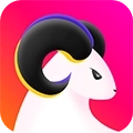 羊气拼拼安卓版