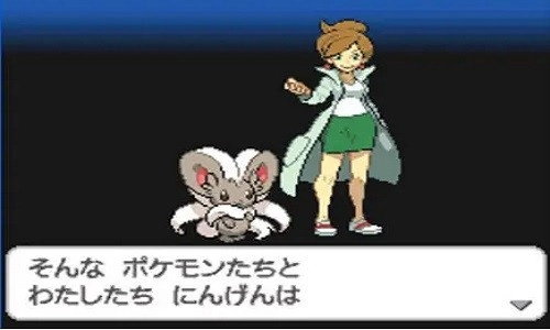 口袋妖怪黑2手机版(1)
