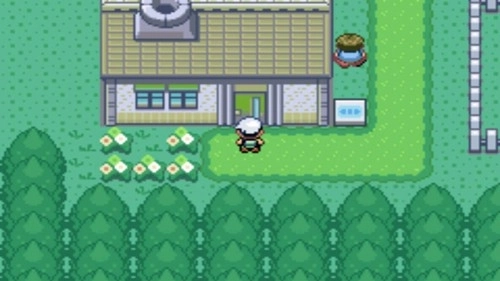 口袋妖怪究极绿宝石随机精灵手机版