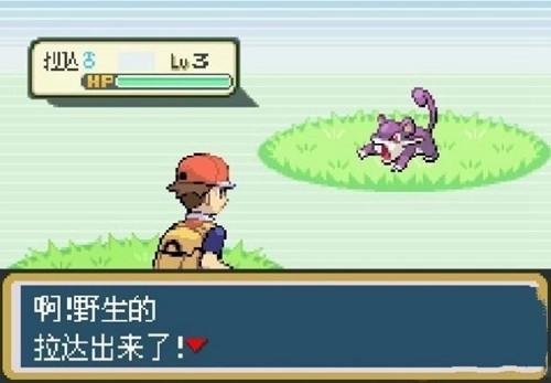 口袋妖怪究极绿宝石6v金手指(3)