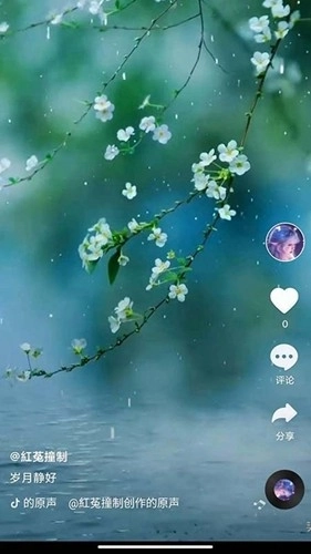 全民刷刷免费版