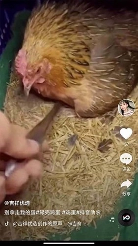 全民刷刷免费版