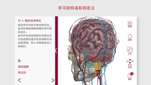 解剖和生理学安卓版