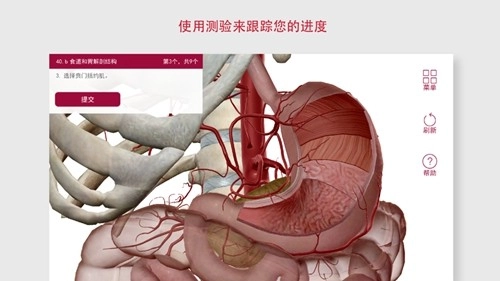 解剖和生理学安卓版