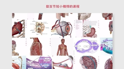 解剖和生理学安卓版