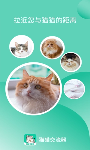 猫猫交流器最新版