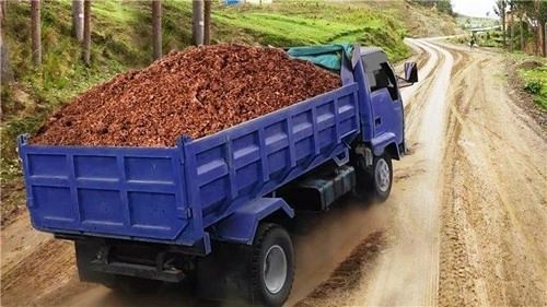 泥头车模拟器汉化版(2)