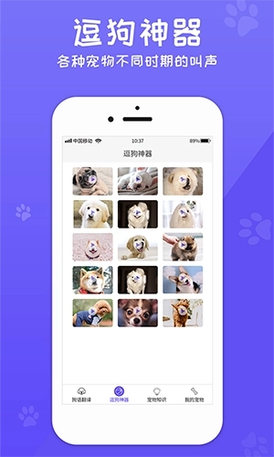 狗语翻译机中文版